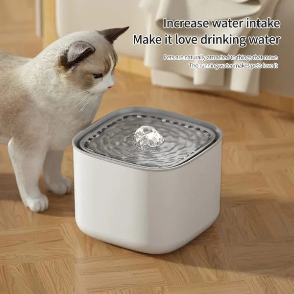 3L Large Capacity Canine Cat Dog Pet Circulating Filter Pet Fountain Feeder Automatic Water Dispenser with USB Port for Pets