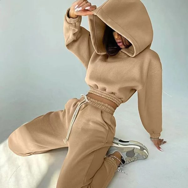 Tracksuits Womens Warm Hoodie and Pants Set Oversized Sportwear Tracksuit Set Autumn Winter Suits On Fleece For Women y2k 240813