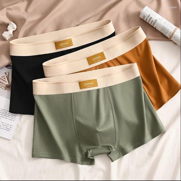 Underpants D.Nale K 3pcs Men Underwear Boxer Shorts Hombre Cotton Panties Man Breathable Sexy Sports Male Comfort Boxers Large