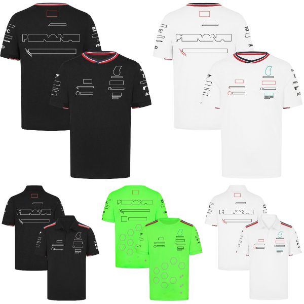 2024 F1 Team Driver T-Shirt Formula 1 Racing Polo Shirt Race Sports New Season Clothing Summer Car Fans Men's Jersey T-shirt