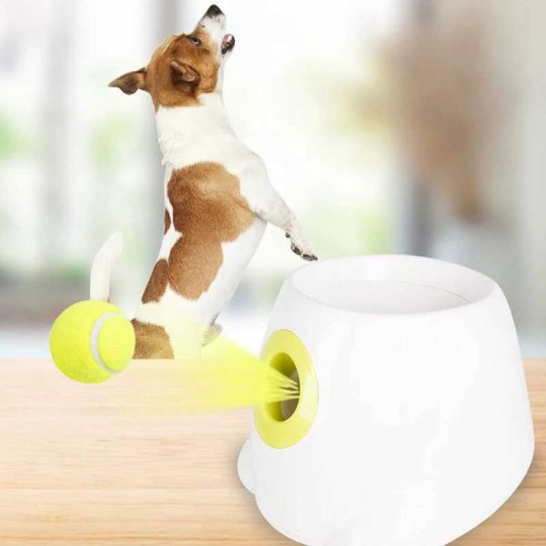 Automatic Dog Ball Thrower-Ejection Ball-Ideal for Tennis Balls and Active Breed H240531