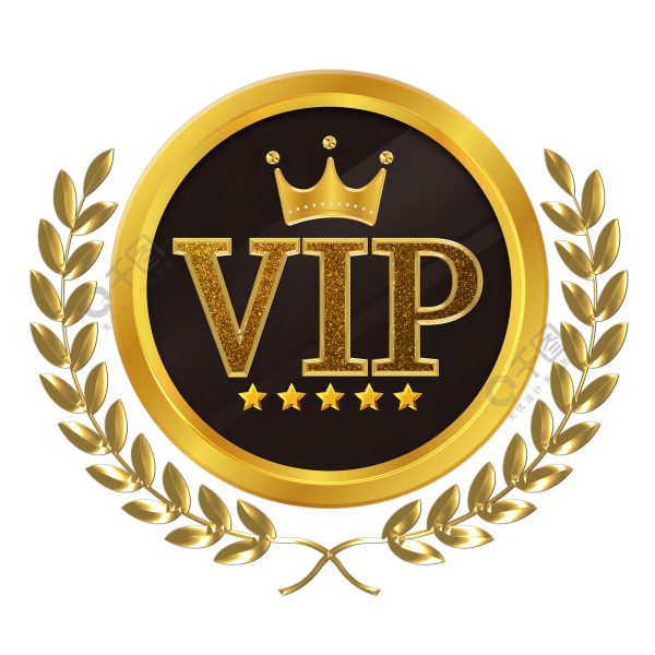 VIP Custom payment link wholesale high quality and low price123456