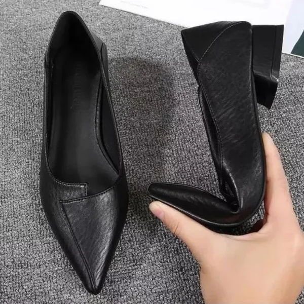 Versatile Women's Shoes Comfortable Work Footwear Soft Sole Pointed Toe New 2024 Model Low Heel Flat Heel Medium