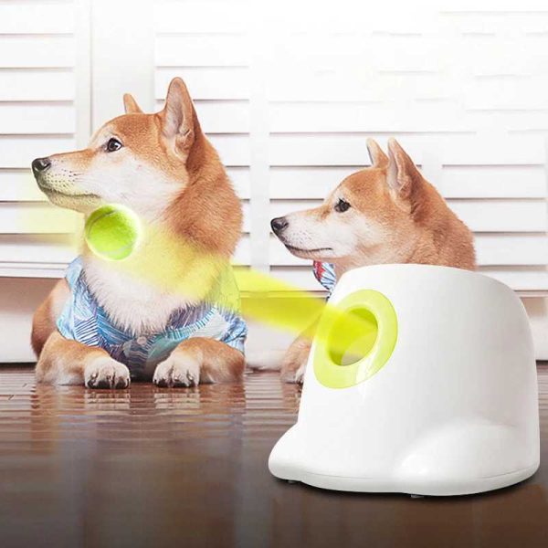 Toys Dog Chews Pet Tennis Launcher Automatic Throwing Machine Ball Throw Device 3/6/9m Section Emission with 3 Balls Training H240531