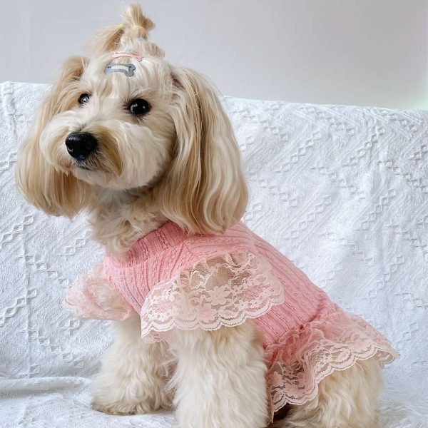 1pc Adorable Solid-colored Pet Flying Sleeve Dress: Breathable Loungewear Dogs & Cats - Perfect for Summer Parties